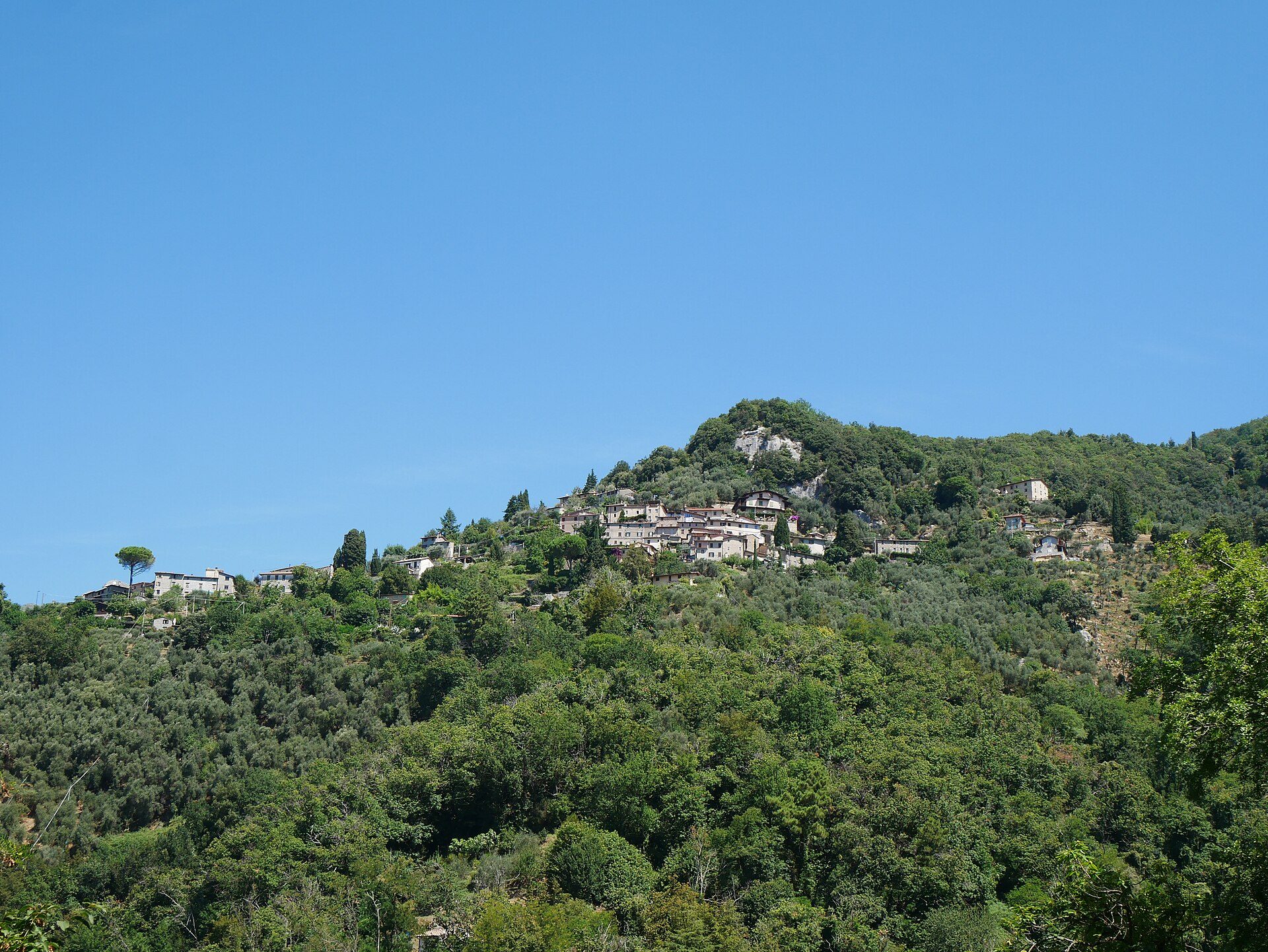 The Hills Above Camaiore