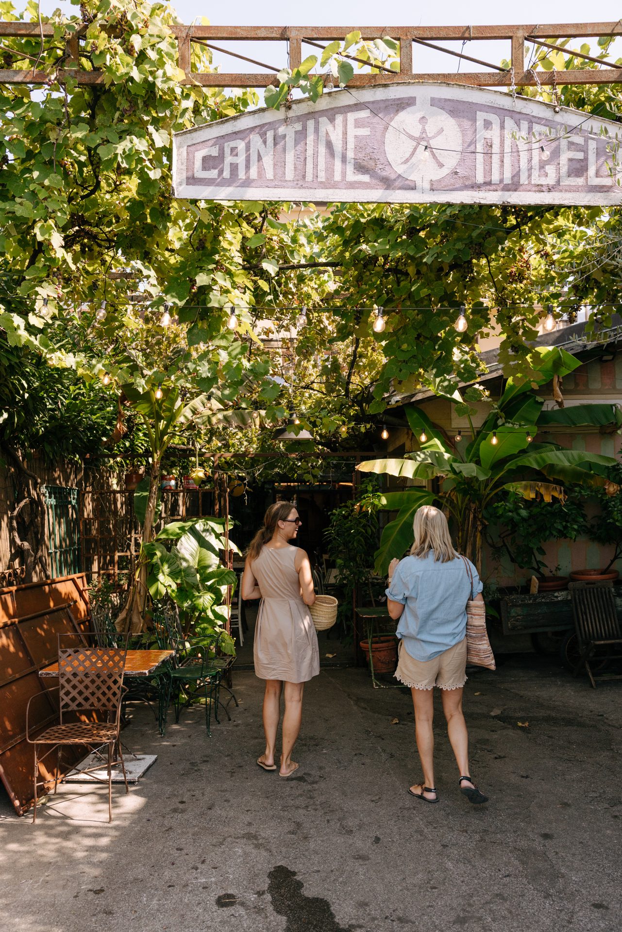 Inside Cantina Angelli in Camaiore.